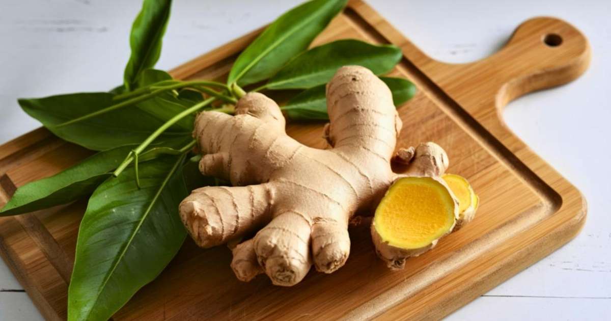 Raiz de gengibre fresca em uma superfície de madeira com fatias ao lado